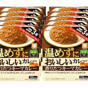 温めずにおいしいカレー 香りたつキーマカレー 中辛