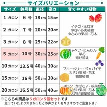 不織布プランター 不織布ポット 5ガロン 10号 5個 セット 不織布 プランター 植木鉢 大型 鉢 フェルトプランター 軽い_画像5