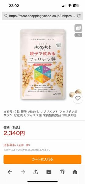 フェリチン鉄 二袋　値下げ不可　カテゴリ相談可能