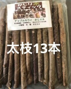  совершенно нет пестициды Apple киви. древесина для грызки futoshi ветка 1,4cm передний и задний (до и после) длинный 20cm13шт.