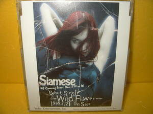 【8cmCD/非売品プロモ】Siamese「Wild Flower」