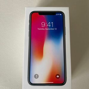 iPhone X 箱　未使用イヤホン　未使用USB電源アダプタ