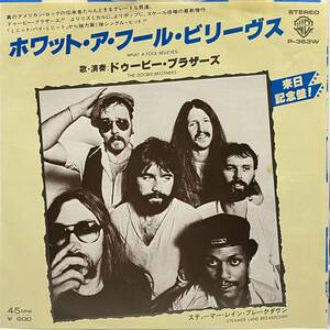 The Doobie Brothers What A Fool Believes ドゥービー ブラザーズ Steamer Lane Breakdown 7inch 7インチ 45 EP 国内盤 Aretha Franklin