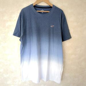 【L】ホリスター　HOLLISTER Tシャツ　半袖　ロゴ　ブルー　ホワイト