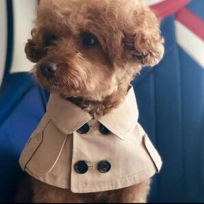 【残りSサイズのみ】犬服　ドッグウェア　England style trench