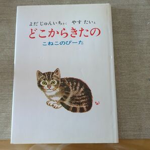 どこからきたの　こねこのぴーた 絵本