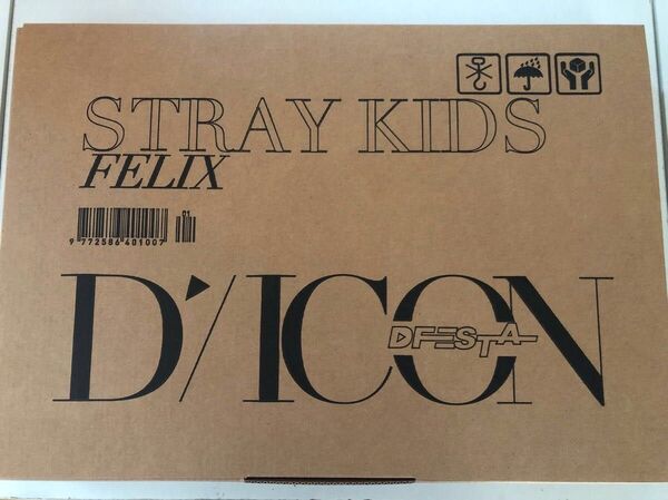 DICON DFESTA Stray Kids Felix スキズ フィリックス