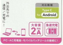 在庫処分 ETSUMI／エツミ 緊急時の予備●USB Type-C⇔USB 2A ケーブル 20cm キーホルダ－型 ホワイト_画像3