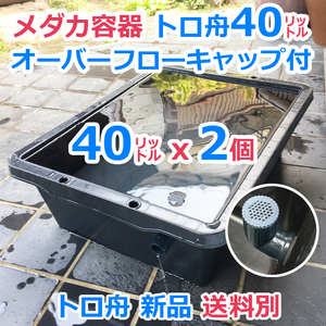 メダカ飼育ケース【40㍑トロ舟 2個 オーバーフローキャップ付】送料別 メダカ飼育容器 金魚水槽 産卵 針子 ビオトープ 水草【五色アクア】