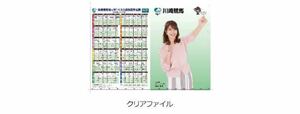 川崎競馬★稲村亜美クリアファイル★即決★数量5