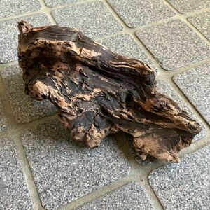 日本海の流木《2キ》23㎝×9×8㎝☆検索☆エァプランツ・苔リウム・着生植物・テラリウム・飼育用材・アクアリウム・クラフト