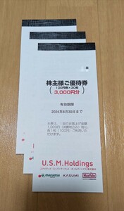 ユナイテッドスーパーマーケットホールディングス 株主優待 9000円分 カスミ マルエツ マックスバリュ USMH