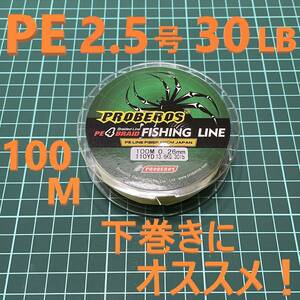 PEライン 2.5号 30LB 100M イエロー 下巻きにも！ 新品 送料込み