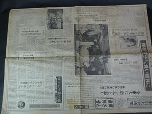 K01　東京大学新聞　1960年6月18日　樺美智子追悼号