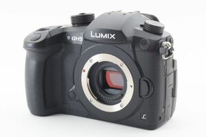 #m385★極上美品★ パナソニック PANASONIC LUMIX RD-SPM049 ボディ