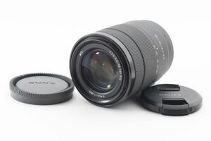 #m407★極上美品★ Sony ソニー E 18-135mm F3.5-5.6 OSS SEL18135