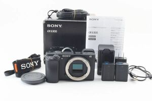 #o128* finest quality beautiful goods * Sony SONY α6300 body 
