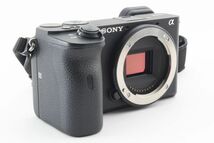 #o75★美品★ Sony ソニー α6600 ボディ ILCE-6600_画像4