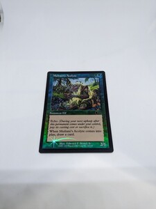 MTG　【EN】【Foil】《ムルタニの見習い/Multani's Acolyte》[ULG] 緑C