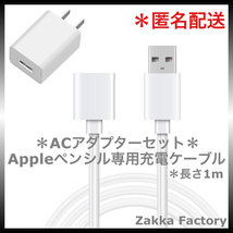 ACアダプターセット アップルペンシル 充電 ケーブル iPad Apple pencil Appleペンシル 充電ケーブル 充電器_画像1