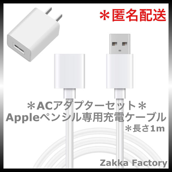 ACアダプターセット アップルペンシル 充電 ケーブル iPad Apple pencil Appleペンシル 充電ケーブル 充電器