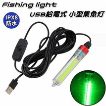 USB給電式 集魚灯 夜釣り 海釣り 集魚ライト 20W 緑光 LED 水中集魚ライト IPX8防水 5m モバイルバッテリー対応 12Vバッテリー不要 C_画像2