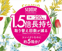 ティッシュペーパー ボックスティッシュ スコッティー 500枚(250組)ｘ３箱ｘ４パック/卸/送料無料_画像2