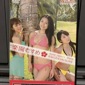 楽園むすめ 非売品 販促用DVD 中村知世 川村ゆきえ 柚月美穂 中古美品の画像1