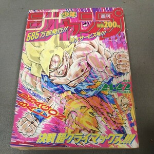 週刊少年ジャンプ◇1991年No.21・22◇ドラゴンボール◇ピンナップ付き◇スラムダンク◇幽遊白書◇ジョジョの奇妙な冒険◇電影少女