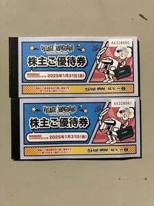 ★ビレッジバンガード　ヴィレッジバンガード　株主優待券 2冊　２４０００円分　送料無料★