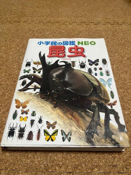小学館の図鑑NEO 昆虫　美品