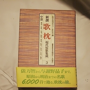 1990年第一発行 中部 新撰 歌枕 現代短歌集成 馬場あき子 佐佐木幸網 昭和から明治までの名短歌 6000首 書籍