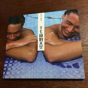 希少 サントラ CD 十七歳的天空 / トニー・ヤン（楊祐寧） ダンカン・チョウ（周群達）/ 僕の恋、彼の秘密