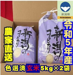 令和5年産・新潟コシヒカリ特別栽培米1等玄米5キロ2個　農家直送　色彩選別済18