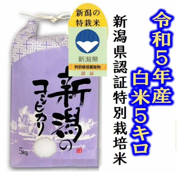 新米　令和5年産特別栽培米・新潟コシヒカリ 白米5キロ　又は　玄米5キロ 1個 色彩選別済　農家直送08