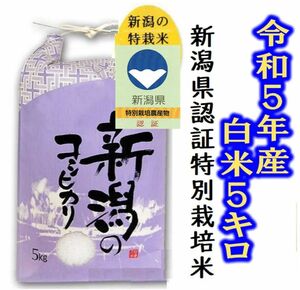 新米　令和5年産特別栽培米・新潟コシヒカリ 白米5キロ　又は　玄米5キロ 1個 色彩選別済　農家直送10