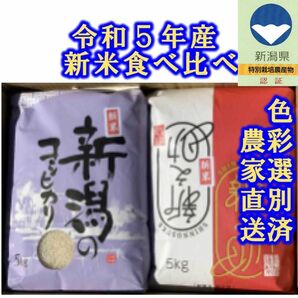 2種銘柄　食べ比べセット　新米・令和5年産　新潟コシヒカリ　新之助　各5キロ10