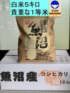 貴重な、1等　魚沼産コシヒカリ　特別栽培米白米5kg×1個　十日町市松之山地区産コシヒカリ18