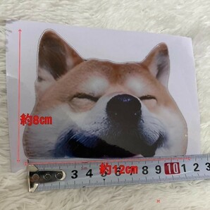 柴犬 ステッカー 2枚 可愛い 窓シール 車 インテリア おもしろ ドッキリ 送料無料 の画像2