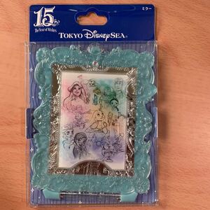 アナと雪の女王 ミラー TDS 東京ディズニーシー ディズニー a