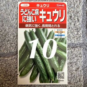 うどん粉病に強いキュウリ10粒