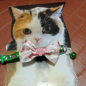 新品 猫首輪 猫リード セーフティバックル 猫雑貨 猫用品 猫 首輪鈴付き 首輪緑 犬首輪 猫首輪リボン付き