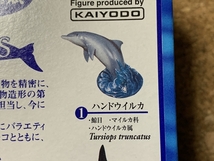 【フィギュア　１】AQUATALES　黒潮コメッコ　ハンドウイルカ　海洋堂　KAIYODO　田熊勝夫　松村しのぶ　Tursiops truncatus_画像7