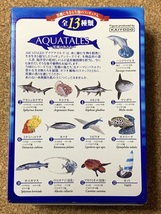 【フィギュア　１】AQUATALES　黒潮コメッコ　ハンドウイルカ　海洋堂　KAIYODO　田熊勝夫　松村しのぶ　Tursiops truncatus_画像9