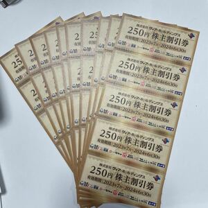 ヴィア ホールディングス 株主優待 2024年6月30日迄有効　250円を50枚