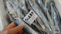 [海の棚　即買干物] さんま 丸干し4尾入り_画像2