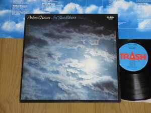 PETER GREEN/IN THE SKIES/ピーター・グリーン