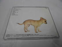 CD◆レピッシュ　DOGS can’t see COLORS　 全10曲　MVCH29018◆試聴確認済 cd-422　ゆうメール可_画像2