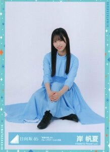 ★日向坂46　「青春の馬」MVブルーグラデーション衣装　岸帆夏　ランダム　生写真　座り