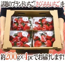 （予約）限定1箱！徳島県佐那河内村 幻の【さくらももいちご】4pc！！！！_画像9